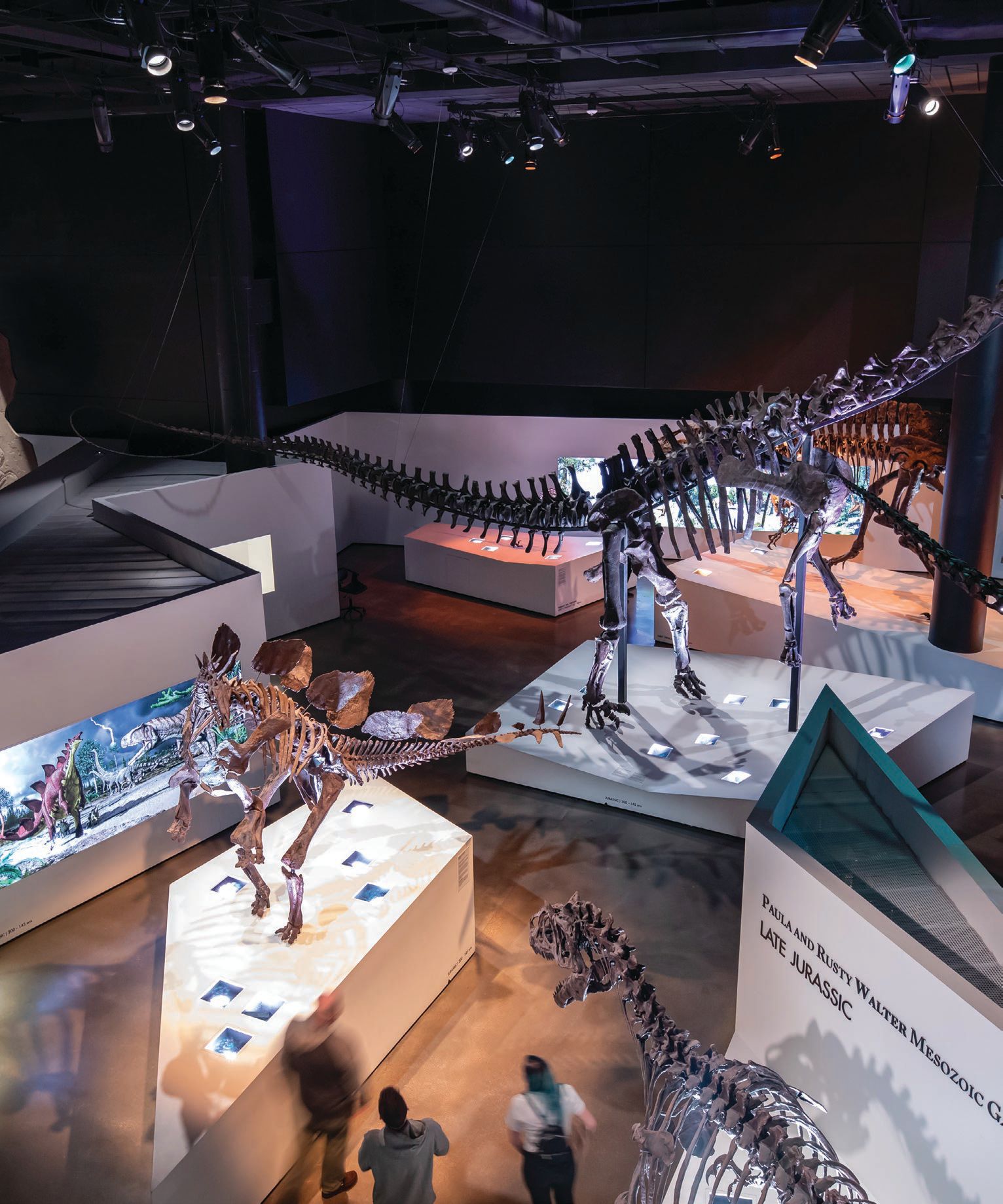 Learn all about extinct dinos at Houston Museum of Natural Science. PHOTO BY MIKE RATHKE/COURTESY OF HOUSTON MUSEUM OF NATURAL SCIENCE